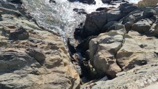 2024-01-Paseo_Costa_Canaria-San_Agustin-Ingles-078.jpg